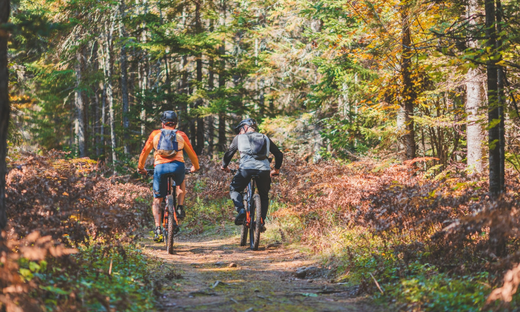 Deux hommes font du vélo en forêt